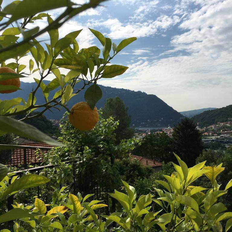 Country House Cozzena Maslianico Εξωτερικό φωτογραφία